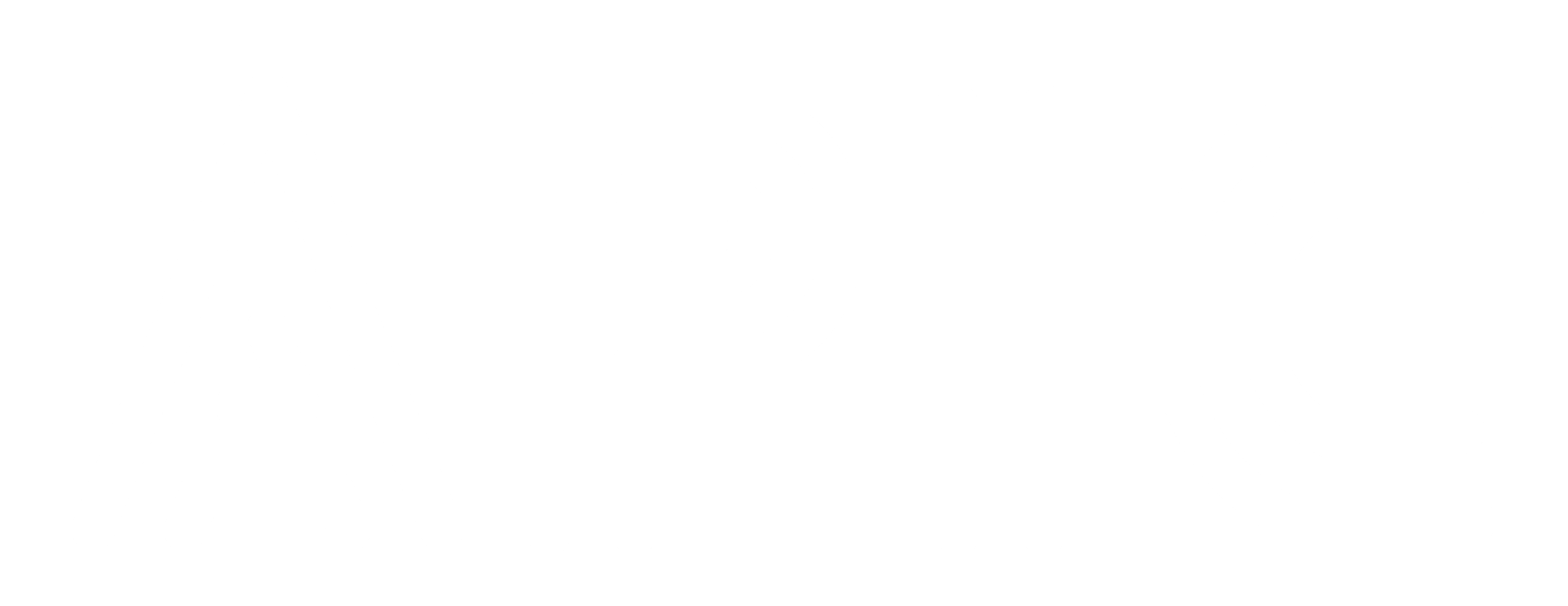 APIC Logo